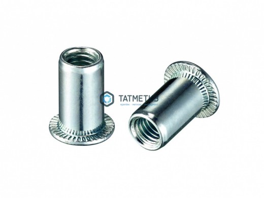 Заклепка резьбовая цилиндрический борт М10 (200 шт/уп) KL | «ТАТМЕТИЗ» Заклепка резьбовая цилиндрический борт М10 (200 шт/уп) KL - магазин крепежа «ТАТМЕТИЗ»