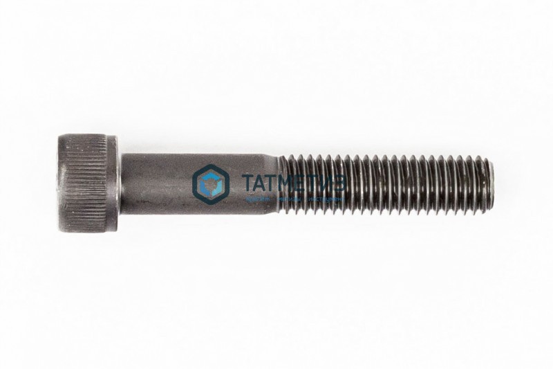 Винт с внутр 6-гр DIN 912, оц 10х 60  (уп 25 кг/ 565 шт)* Винт с внутр 6-гр DIN 912, оц 10х 60  (уп 25 кг/ 565 шт)*