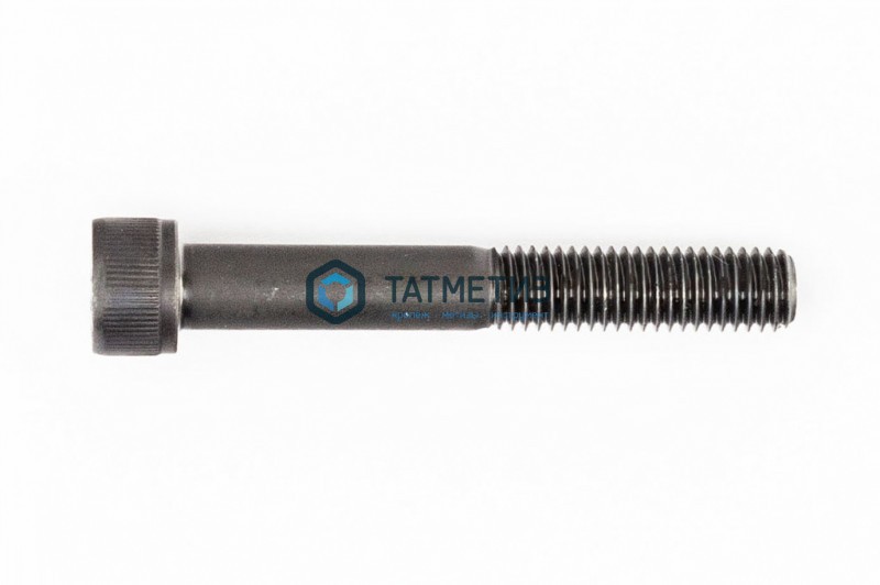 Винт с внутр 6-гр DIN 912, оц 10х 70  (уп 25 кг/ 490 шт)* Винт с внутр 6-гр DIN 912, оц 10х 70  (уп 25 кг/ 490 шт)*